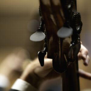 cello hand closeup